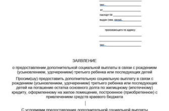 заявление предоставление льготы